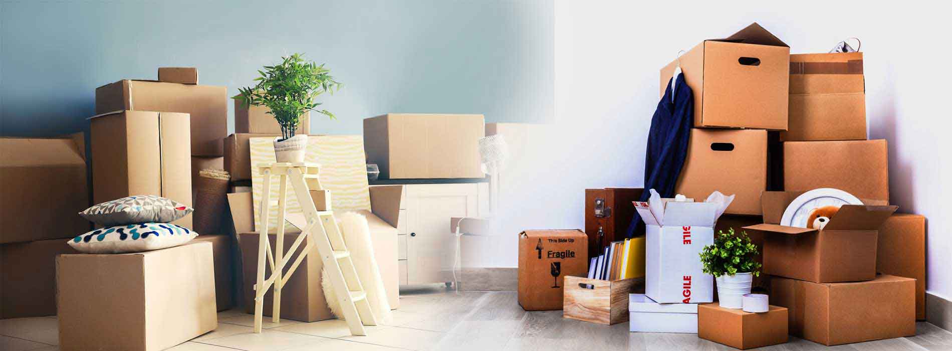 sb movers and packers chandigarh